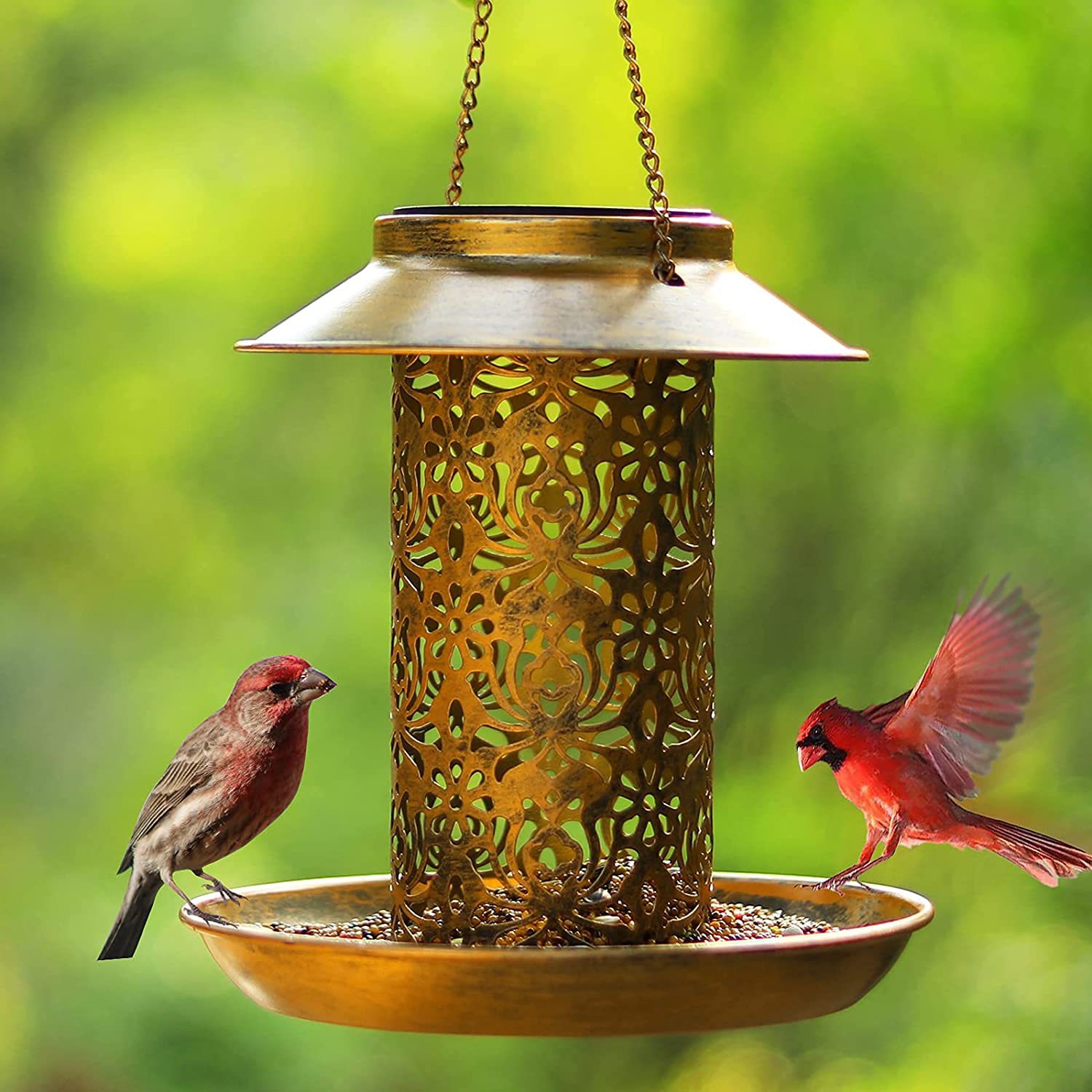 Outdoor Lighting Decor Ideas - Hanging Bird House Metal Outdoors Solar