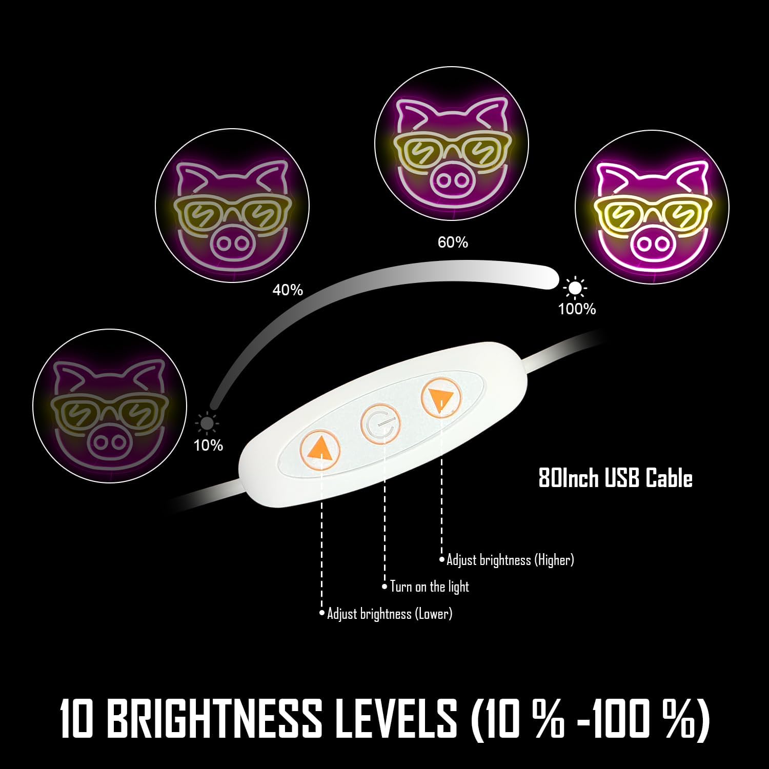 Pink Pig with Yellow Glasses N - Outdoor Lighting Decor Ideas ulasan dan harga